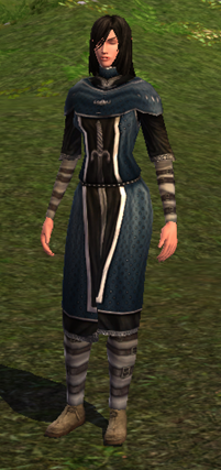 Sellswords Hauberk